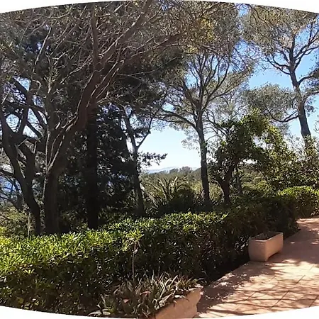 Alpasa - Boulouris Aiguebonne, Vue Dans Domaine 5 Min A Pied De La Saint-Raphaël
