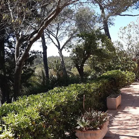 Alpasa - Boulouris Aiguebonne, Vue Dans Domaine 5 Min A Pied De La Saint-Raphaël