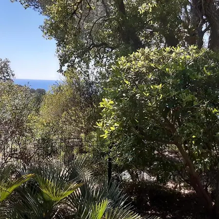 Alpasa - Boulouris Aiguebonne, Vue Dans Domaine 5 Min A Pied De La Saint-Raphaël